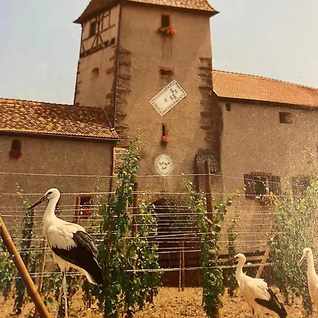 Les Volets Bleus 圣玛丽欧米讷